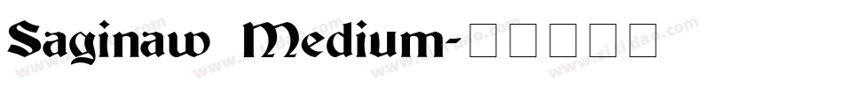 Saginaw Medium字体转换